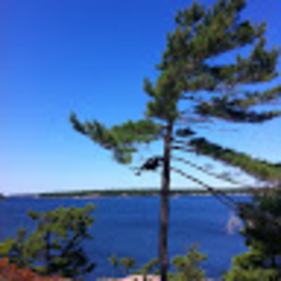 Meet your Posher, Dantrep - Picture 1 of 1